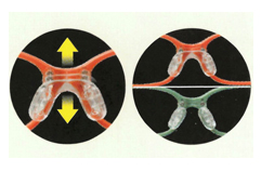 Adjustable Nose Pad Heights - Tomato Glasses